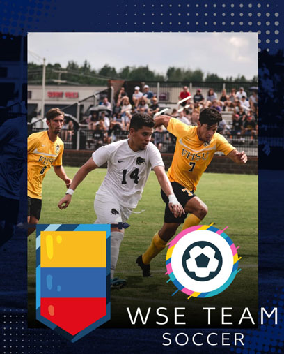 competencias en mexico de futbol